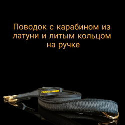 Поводок из стропы с латеснной нитью латунной фурнитура.