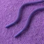 Свитер Ymkashix Stripes Hood фиолетовый