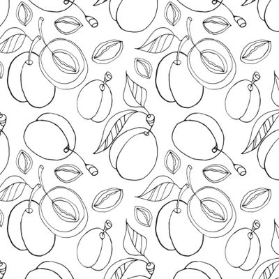 Сливы. Контурное изображение на белом фоне.