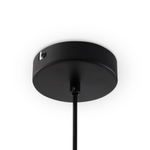 Подвесной светильник Freya Evidence FR5372PL-02B