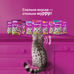 Влажный корм для взрослых кошек Телятина и язык рагу, 75г Whiskas