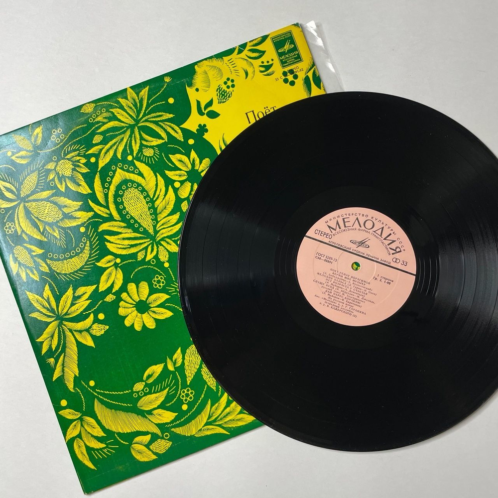 Винтажная виниловая пластинка LP Ренат Ибрагимов Поет (СССР 1980)