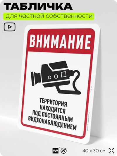 Табличка для частной территории "Внимание, территория находится под видеонаблюдением", на дом, для участка, организаций, предупреждающая, 40х30 см, Silver Plane x Айдентика Технолоджи