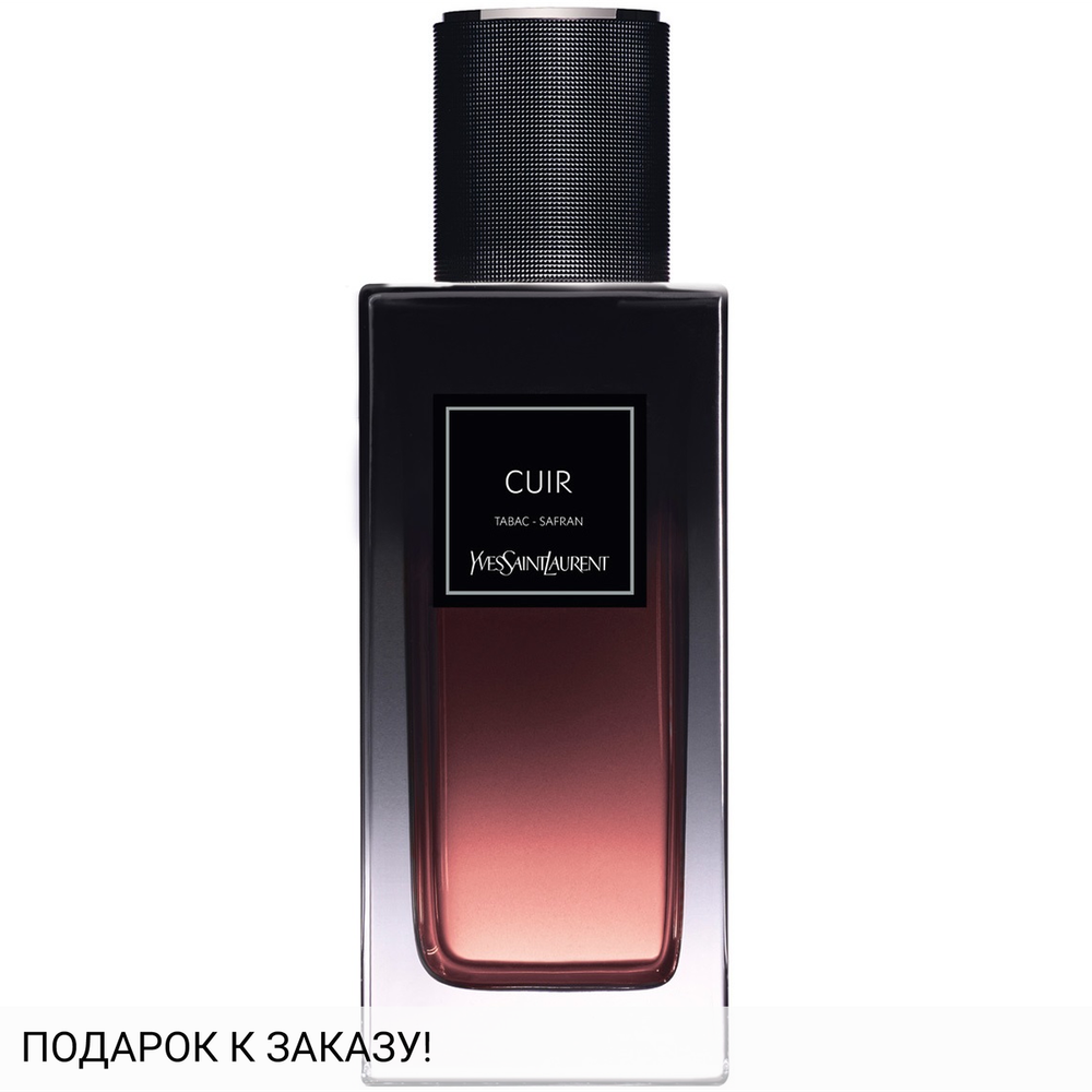 Yves Saint Laurent Cuir