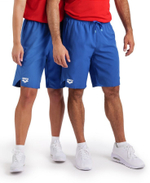 Шорты спортивные TEAM BERMUDA PANEL