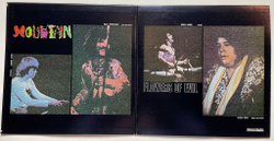 Винтажная виниловая пластинка LP Mountain Flowers Of Evil (Japan 1972) (No Obi)