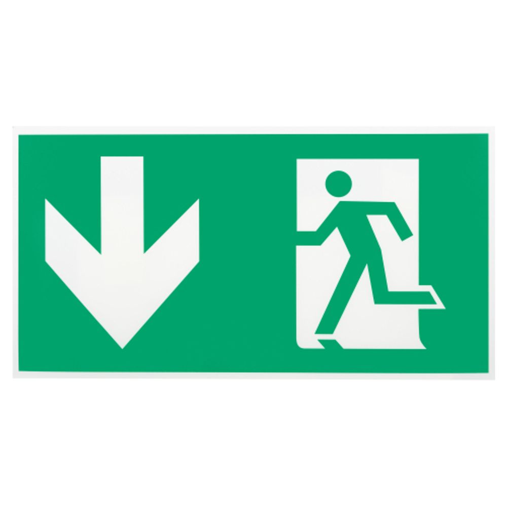Пиктограмма ЭРА INFO-SSA-118 бэклит 259x128мм Человек-стрелка-вниз зеленая SSA-103