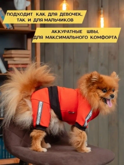 Спортивный комбинезон костюм для собак