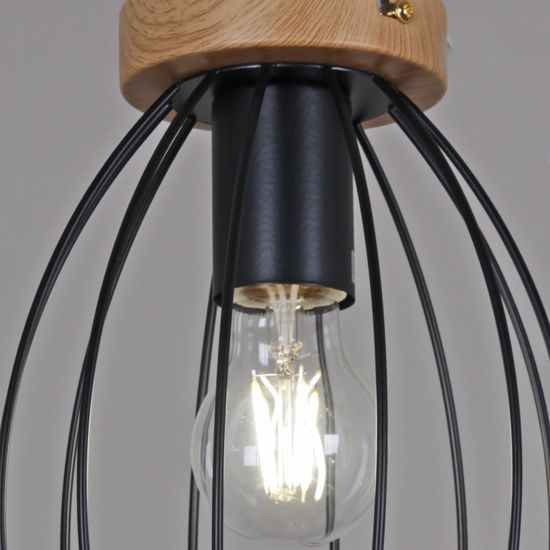 IL1011-1C-05 BK светильник потолочный