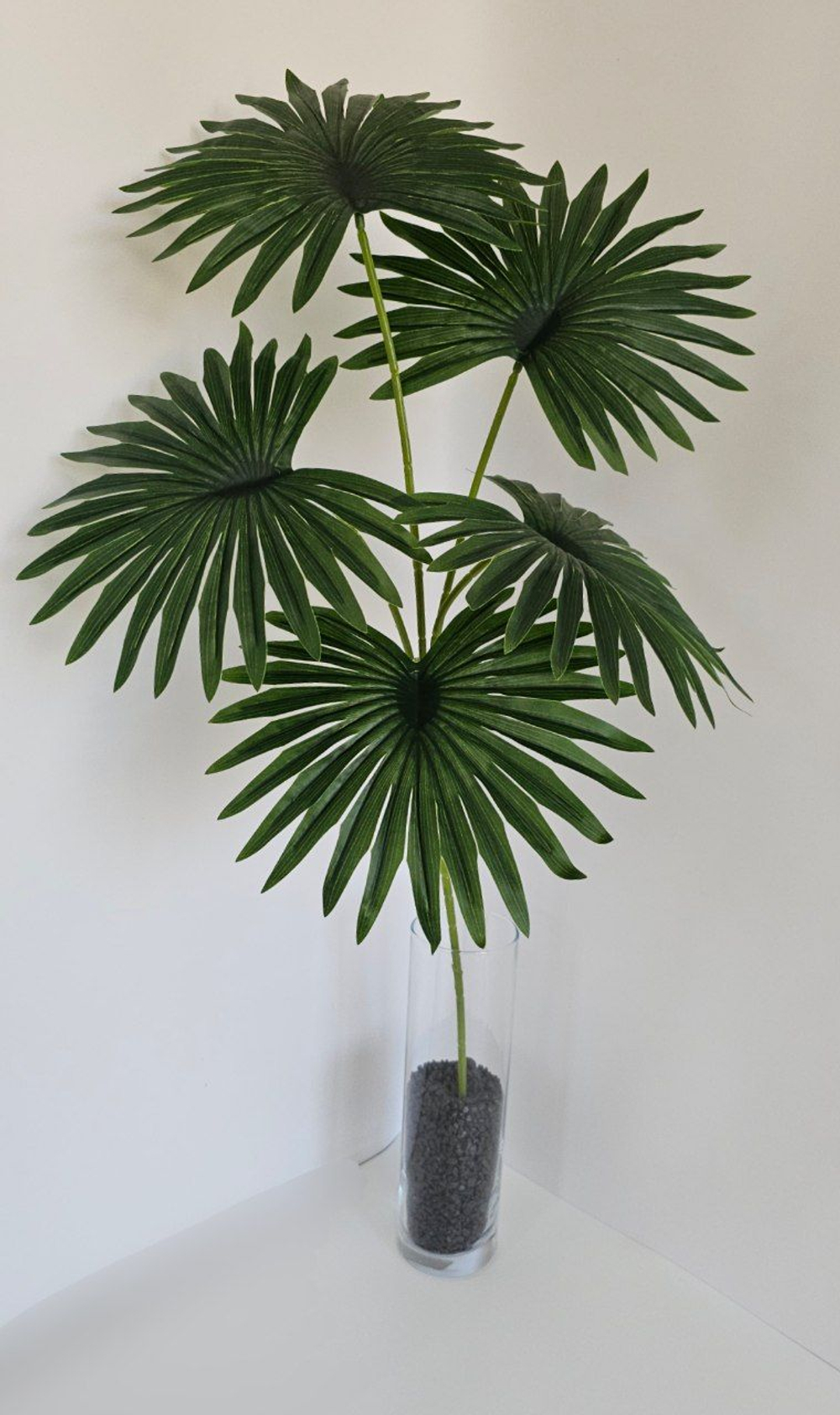 Пальма веерная / Арт 6350