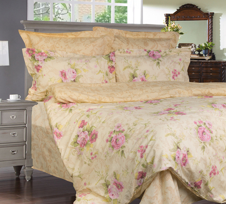 Постельное белье СайлиД B-146 сатин