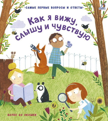 Самые первые окошки. 40 окошек. Как я вижу, слышу и чувствую