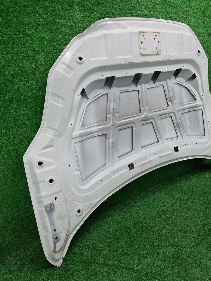 Капот Zeekr 001 (2021-н.в.)