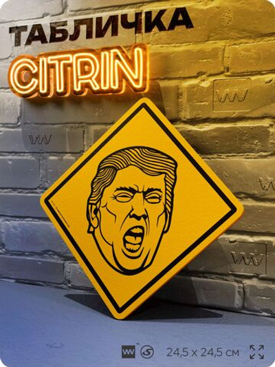Табличка мем "Дональд Трамп" шуточная прикольная табличка на дверь и стену, для офиса и дома, декоративный знак, 24,5х24,5 см, пластиковая, Айдентика Технолоджи