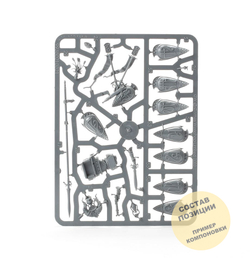 Vanari Auralan Wardens (5)