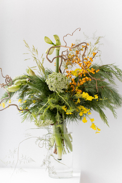 Зимний букет “green dragon”