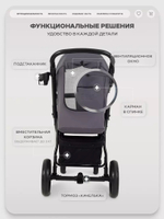 Коляска прогулочная Rant Basic Alpine Dark Grey 2026