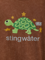 Мужская Футболка Stingwater Turtle