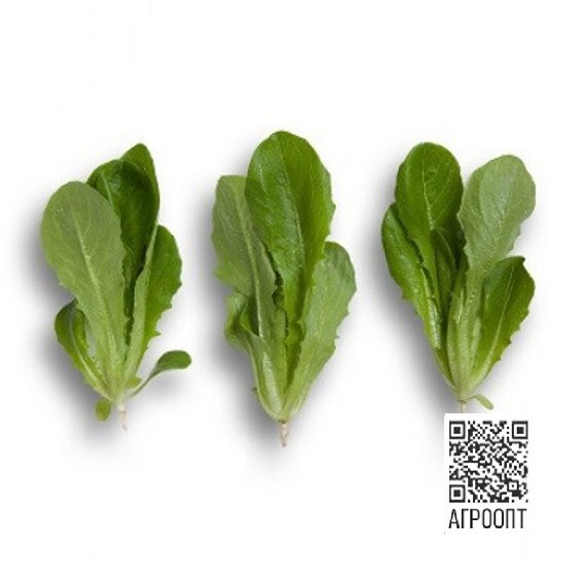 Валдивия семена салата бэби-лиф – фото 2