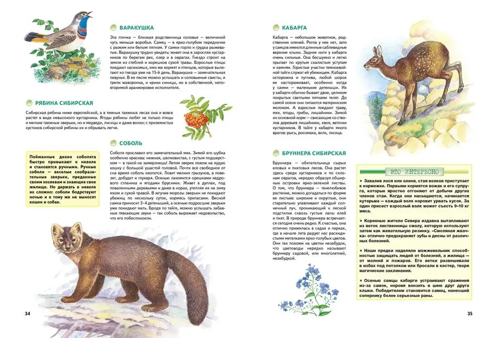 Природа России. Иллюстрированная энциклопедия