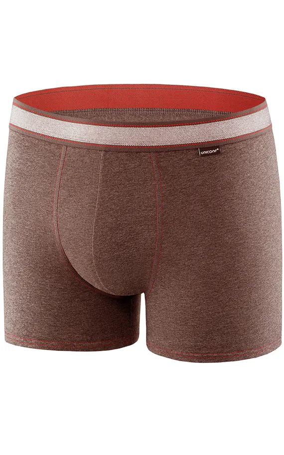 Мужские трусы BB99 Коричневый