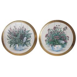 Картины "Травы"