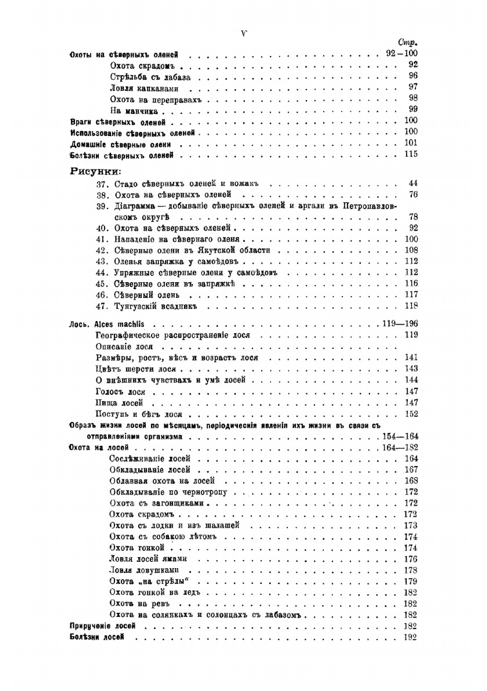 Звери России | Туркин Николай Васильевич