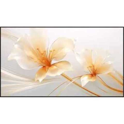 Экран для проектора Xgimi P165S