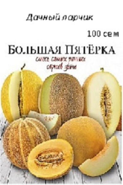 Дыня Большая пятерка