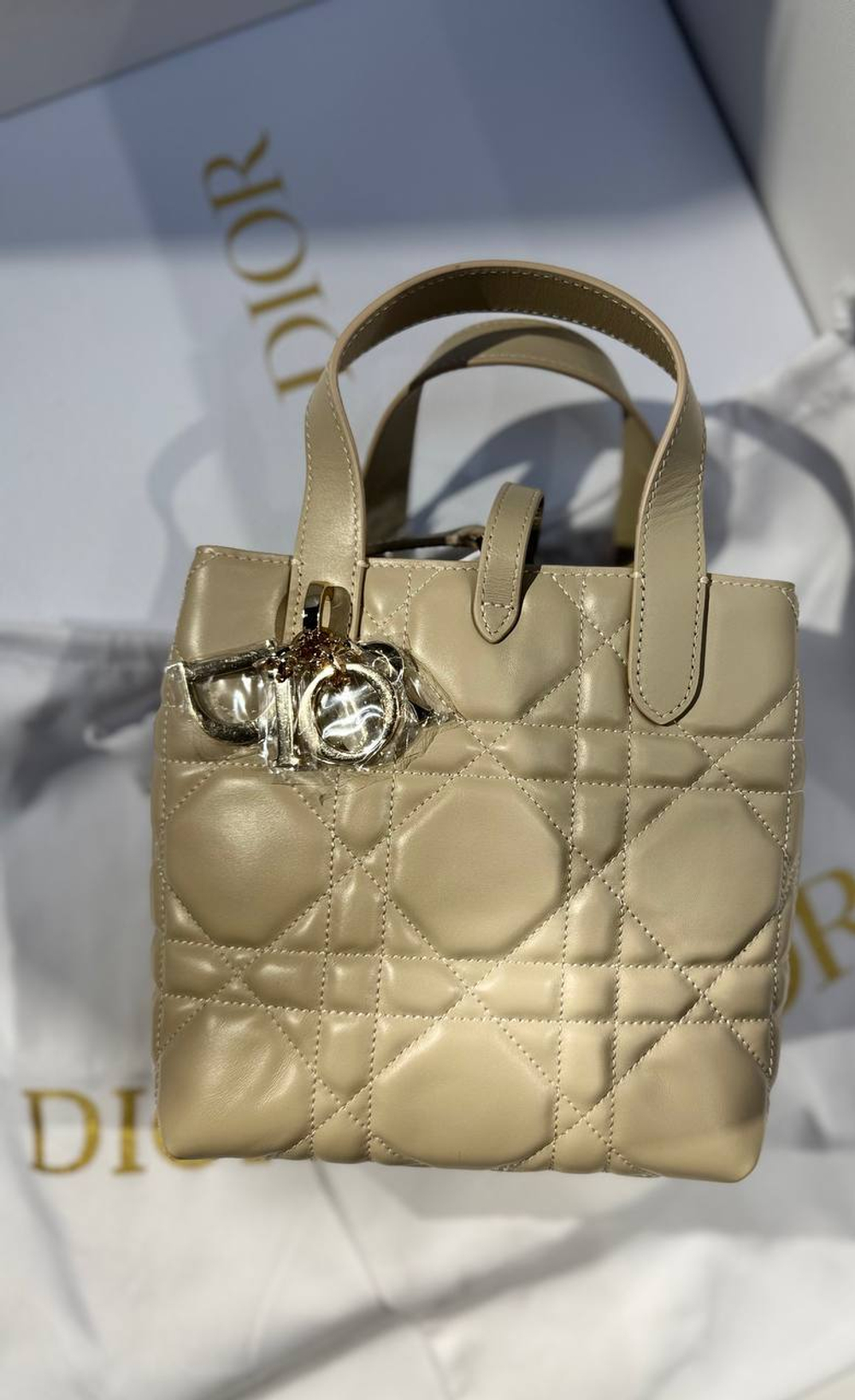 Сумка Dior