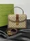 Сумка Gucci Ophidia