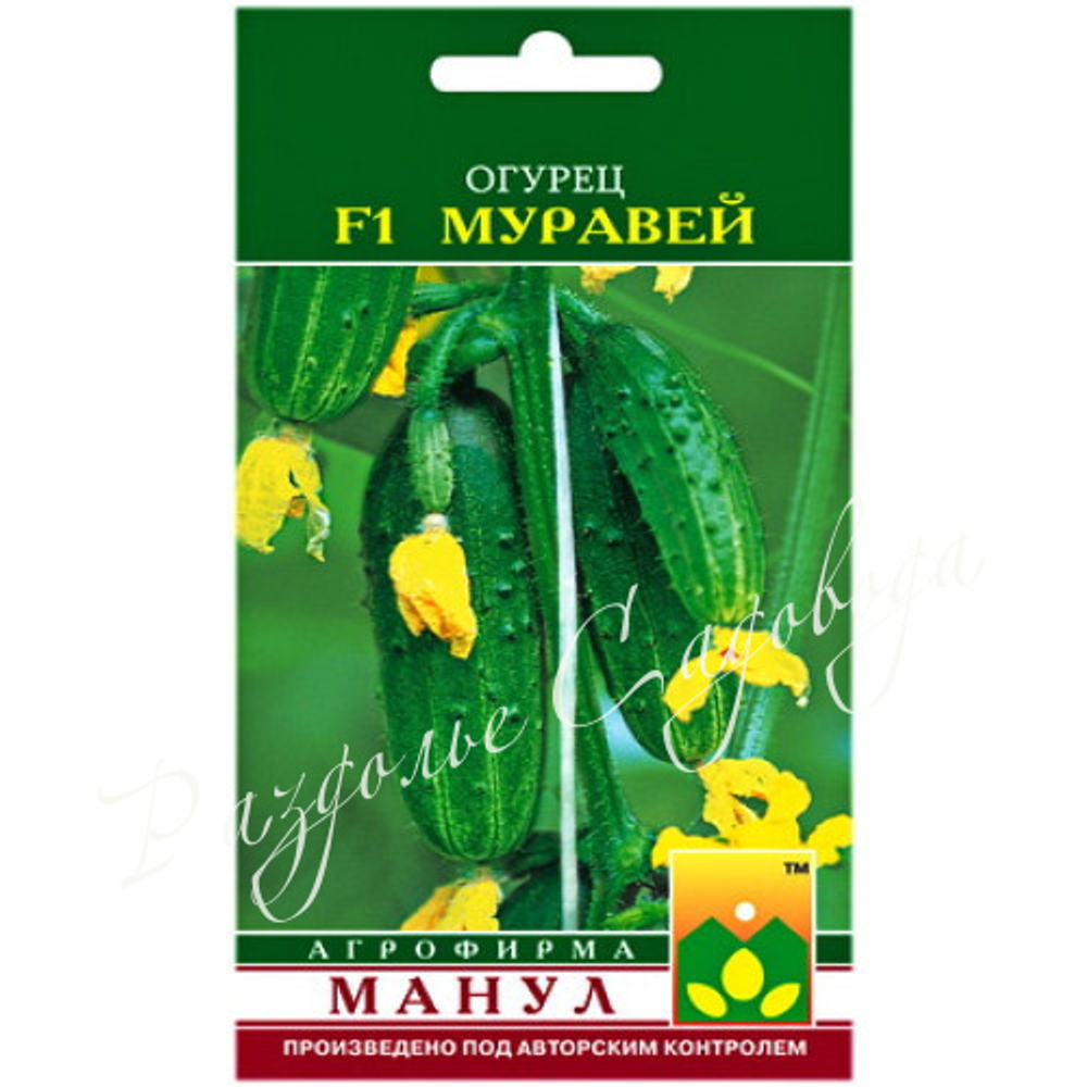 Огурец Муравей F1 , семена