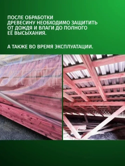 ОгнеБиоЗащита для дерева 2 группа, огнезащита PROSEPT (Просепт) красный 10 л. (арт. 064-10и)