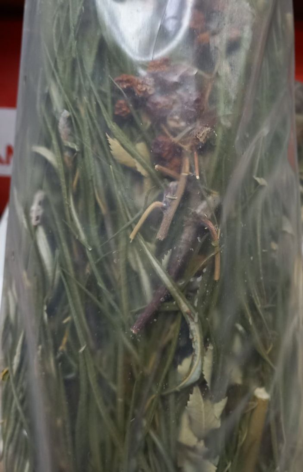 Веточный корм для грызунов