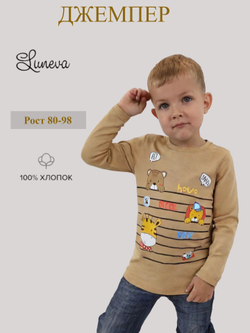 4-117-5 Джемпер для мальчика