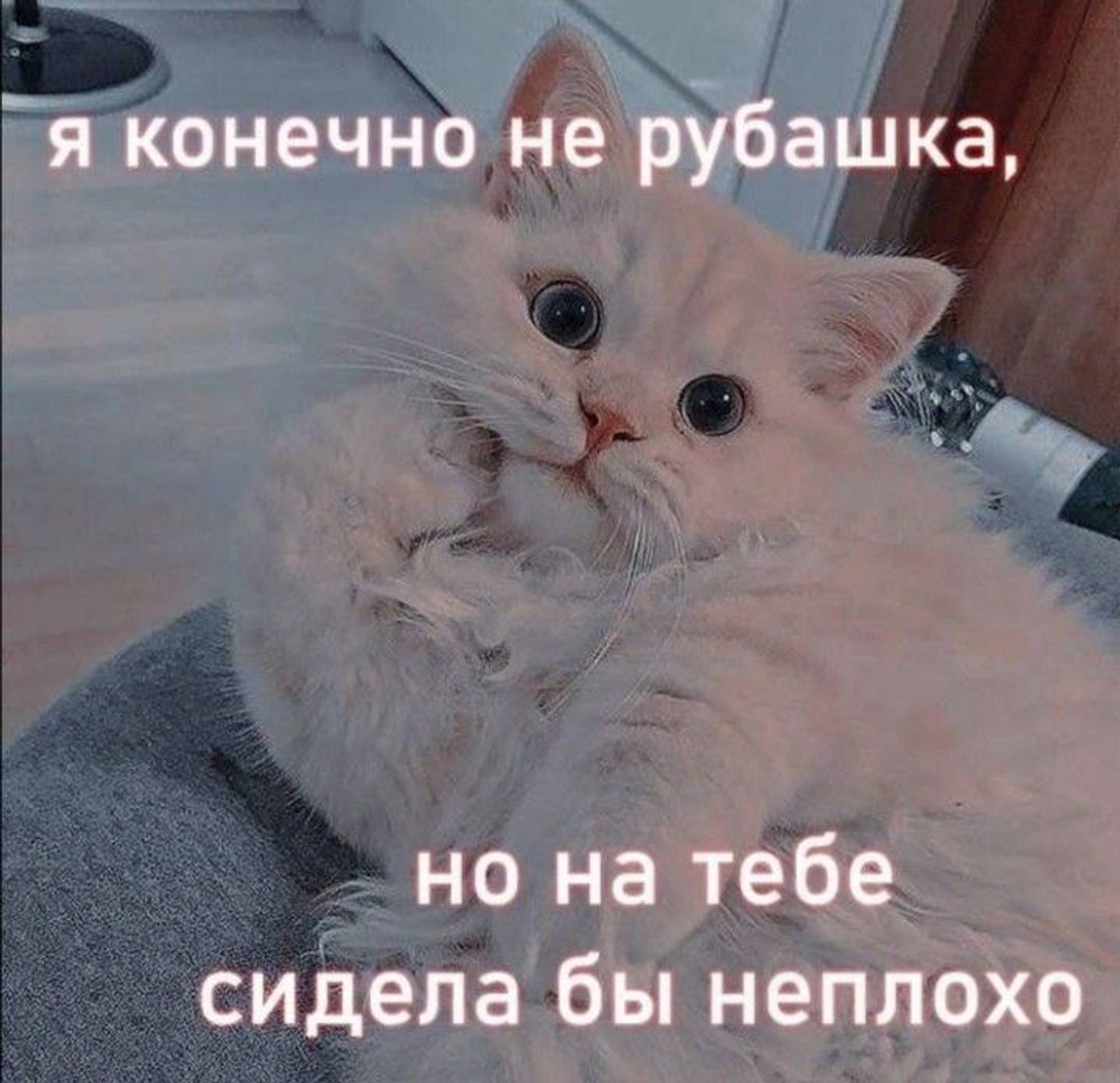 Сегодня не просто день. Сегодня — День Секса. 😋