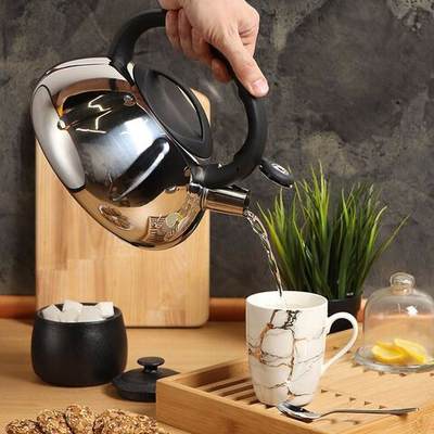 Чайник нерж, 3 л, свист, ручк с силик покр, Daniks, DSC-8796