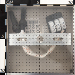 Citilux Риволи CL104120 Люстра с поворотными плафонами Алюминий