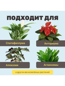 Органический грунт для спатифиллума 2,5 л