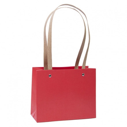 Пакет 22*18*10 с крафтовыми ручками КРАСНЫЙ