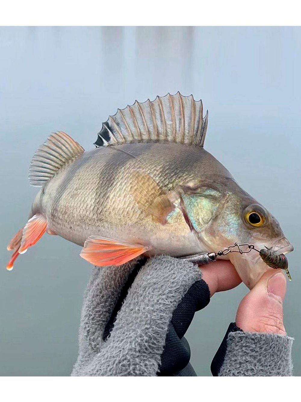 Слаги съедобные искусственные LJ Pro Series TRICK ULTRAWORM 2,0in (05.00)/S21 9 шт. в упак.