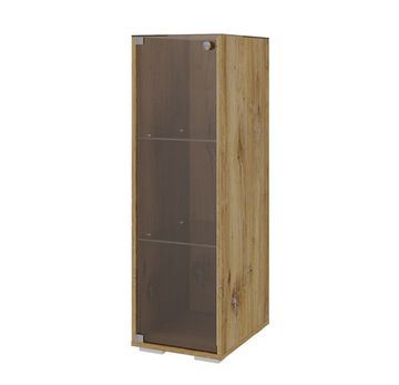 Дакота ПМ-370.10 Тумба (Дуб Флагстафф)