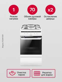 Газовая плита Hansa FCGW51001