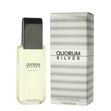 Мужская парфюмерия Antonio Puig EDT Silver Quorum 100 мл