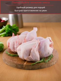 Цыплёнок-корнишон "Бронницкая ПФ" 500 гр