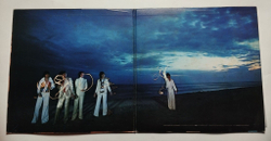 Винтажная виниловая пластинка LP The Rolling Stones Black And Blue (Japan 1976) (No Obi)