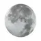 3084/CL PALE SN 117 Светильник пластик/белый/серый LED 30Вт 4000К D330 IP43 MOON