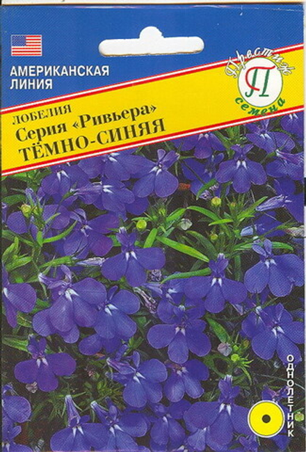 Лобелия Ривьера Темно-синяя Престиж