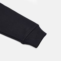  Толстовка Dickies Torrey Sweatshirt артикул:DK0A88BSBLK1 - купить в магазине Дайс