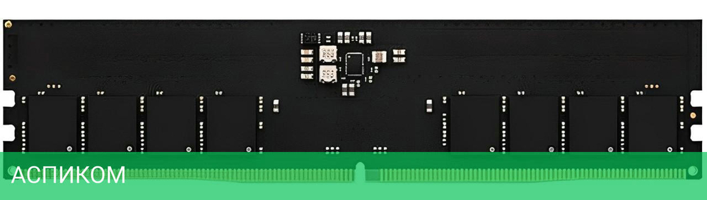 Оперативная память AMD Radeon 8GB DDR5 5600 (R558G5600U1S-U)